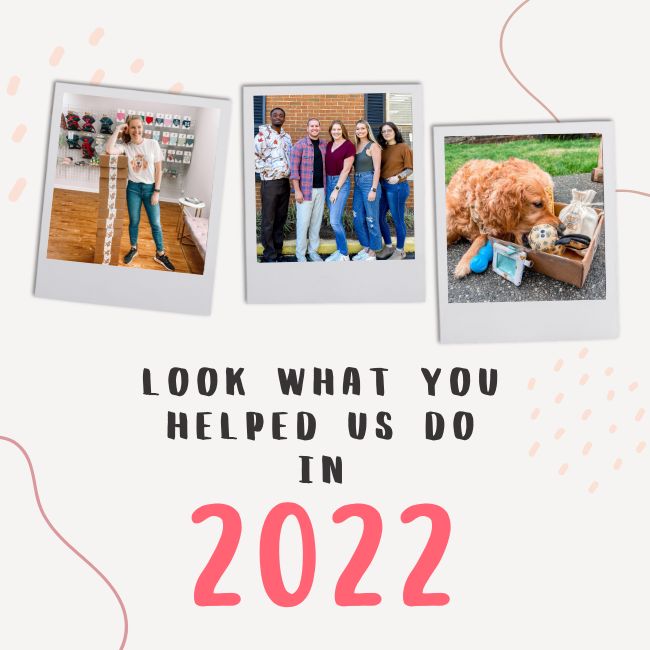 2022: A Year In Review At Tails Up, Pup