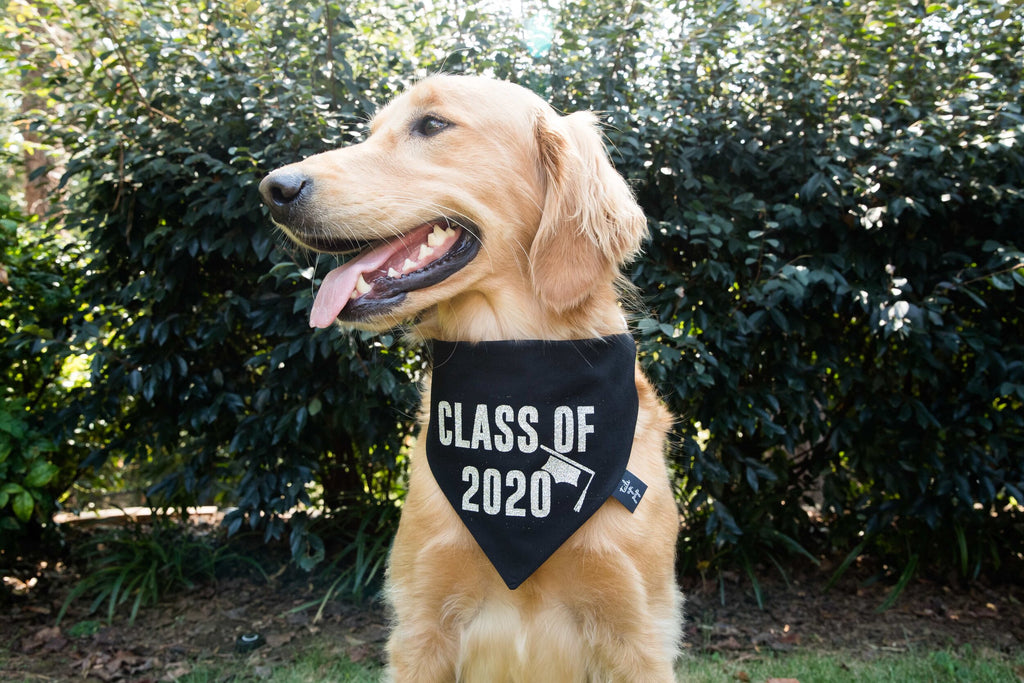 Graduation Class 2021 / 2022 Dog Bandana
