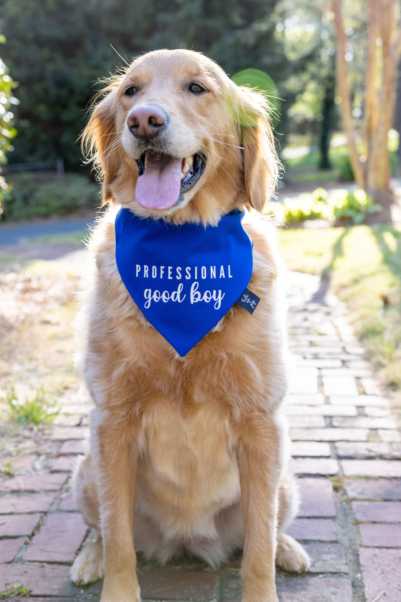 Professional Good Boy Dog Bandana