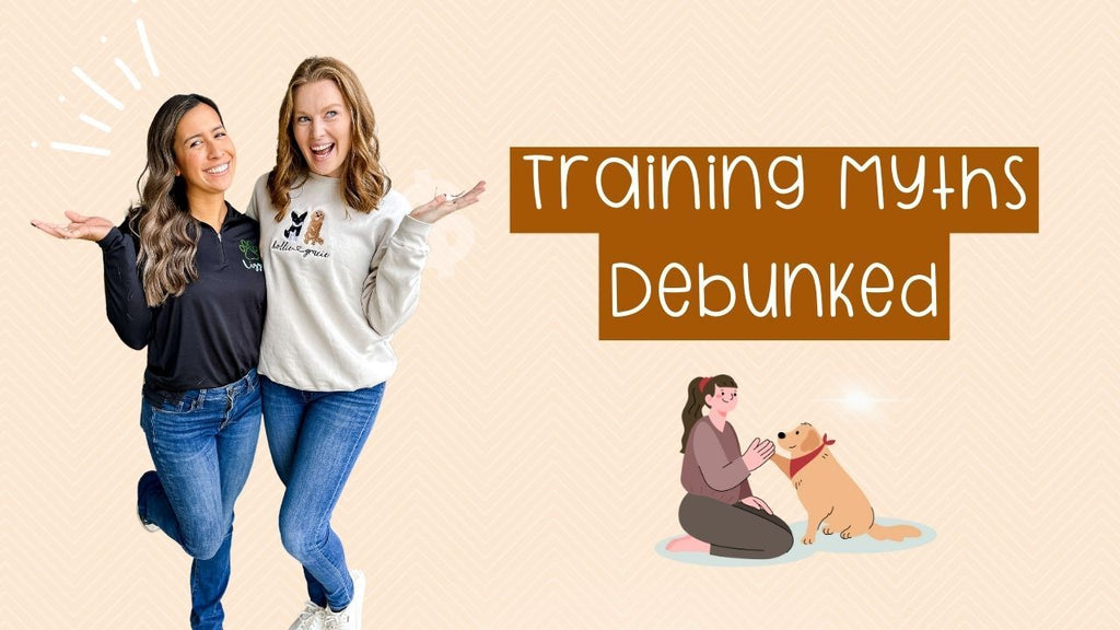 Starting the Year on the Right Paw: Dog Training Tips To Bring Into New Year