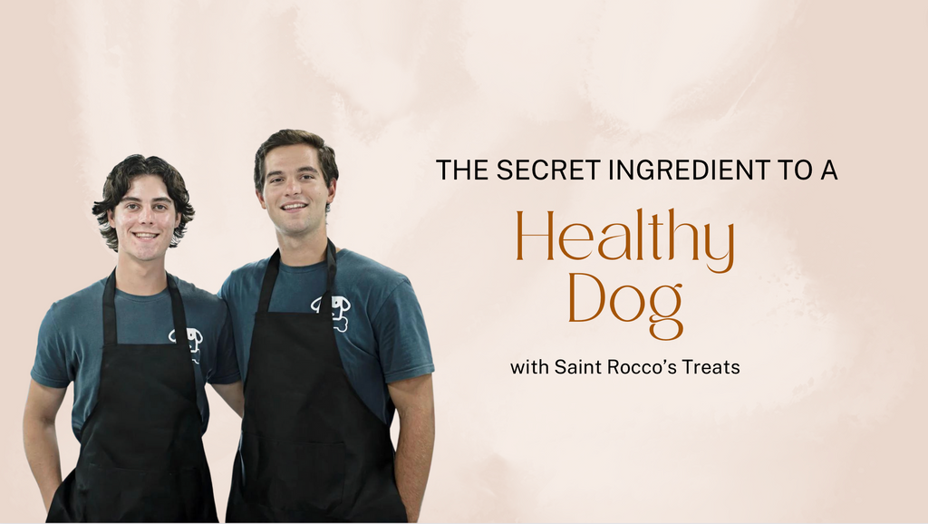 The Secret Ingredient to a Healthy Dog