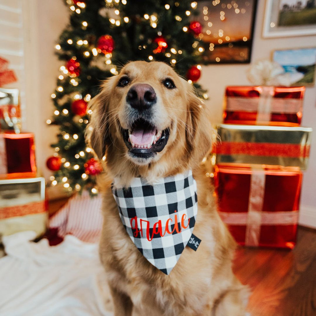 Dog Bandanas