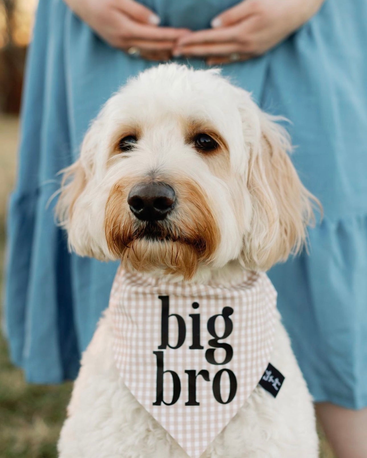 Gingham Big Bro Dog Bandana