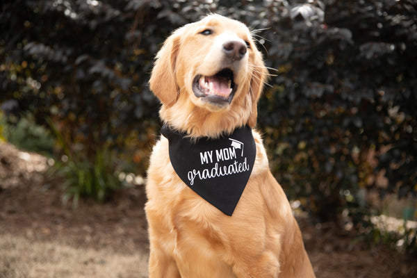 Dog on sale graduation bandana