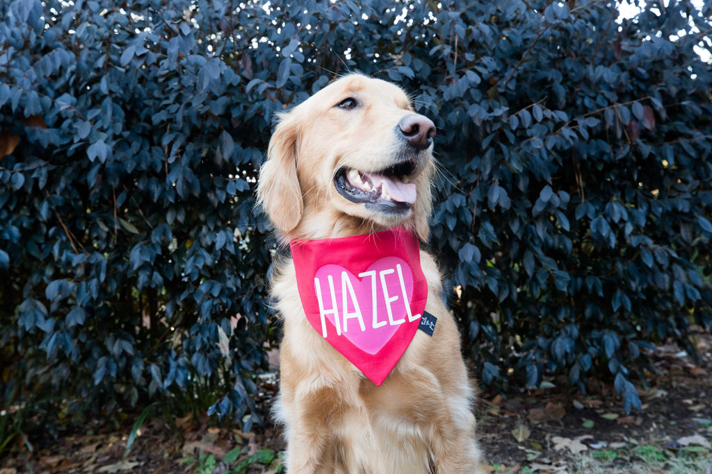 PERSONALIZED Red Heart Dog Bandana