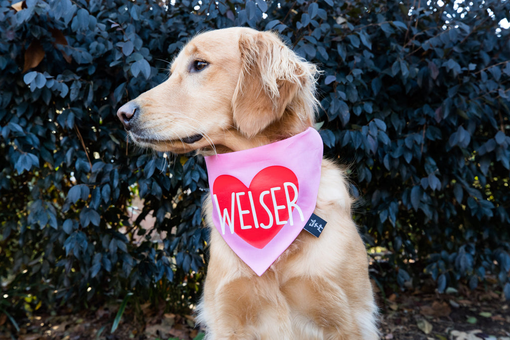 PERSONALIZED PINK Heart Dog Bandana