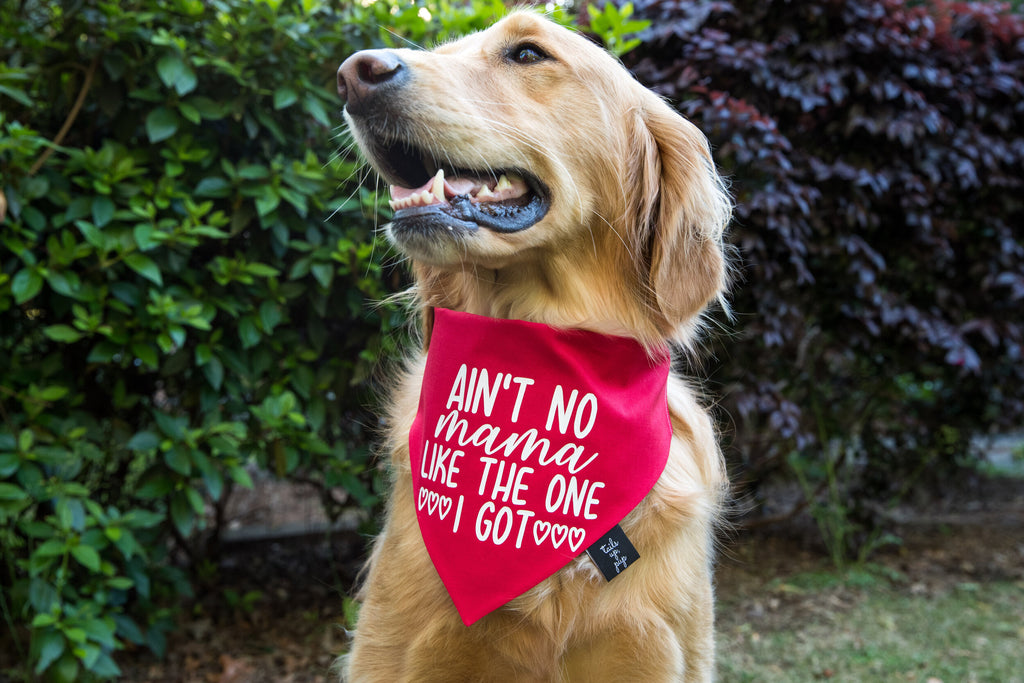 Ain't No Mama Like The One I Got Dog Bandana