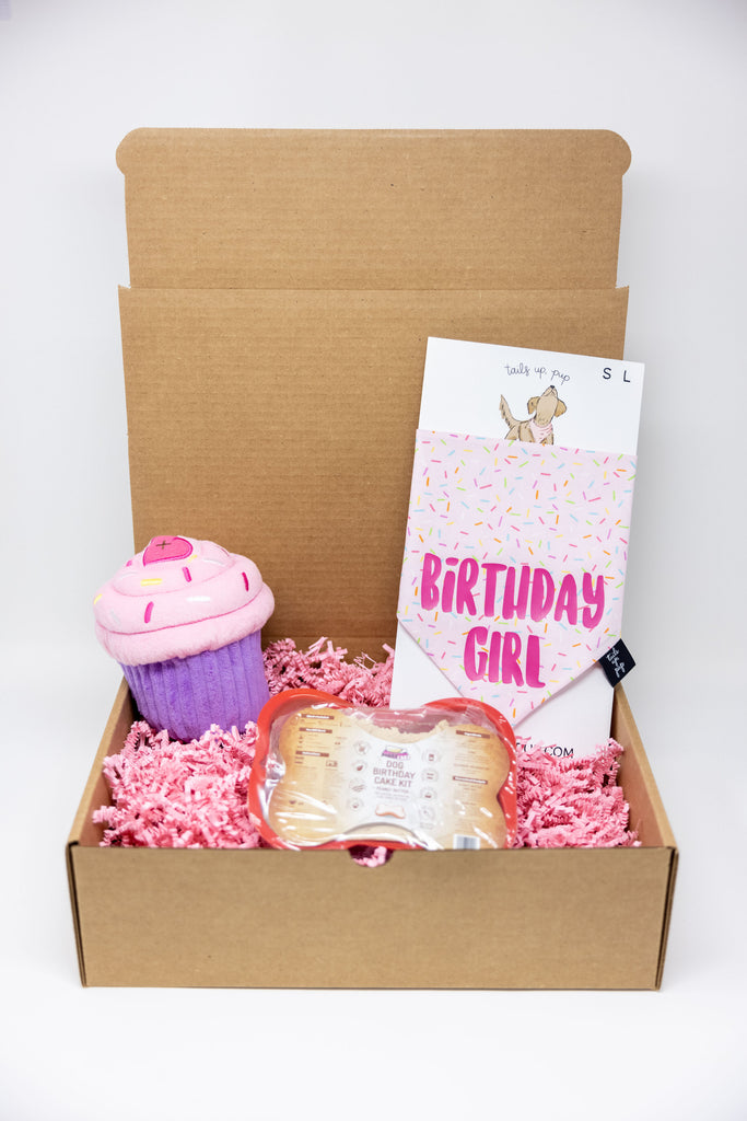 Birthday Box (Boy or Girl)
