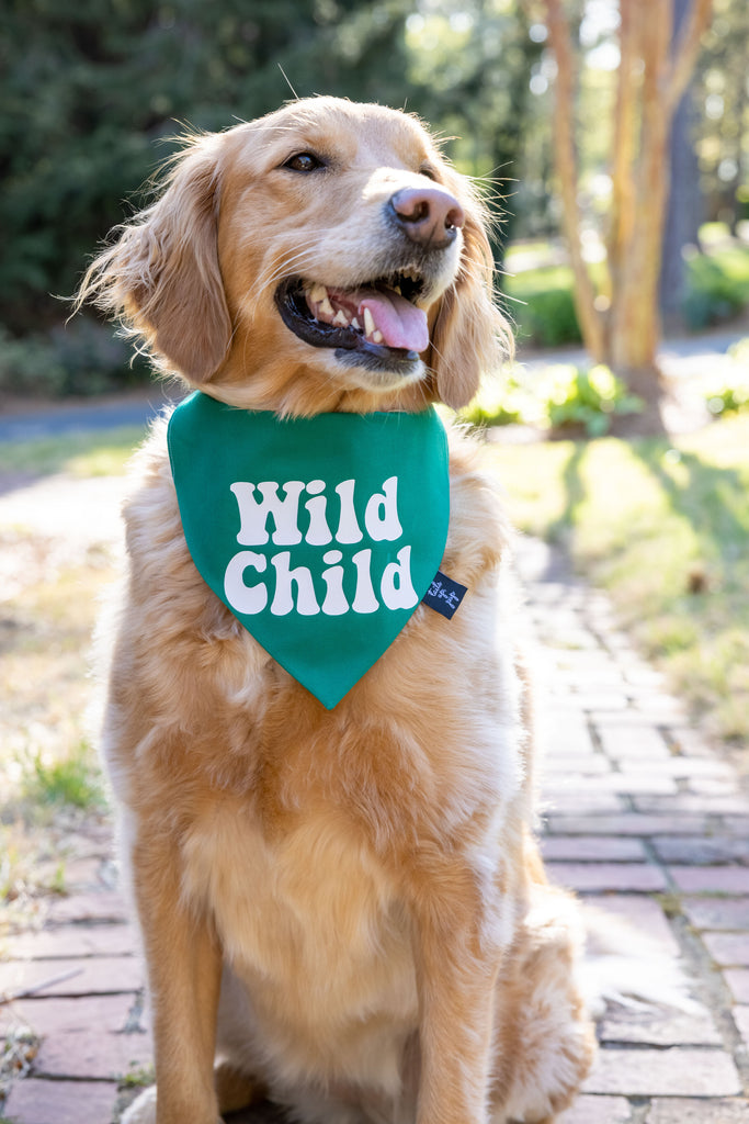 Wild Child Dog Bandana