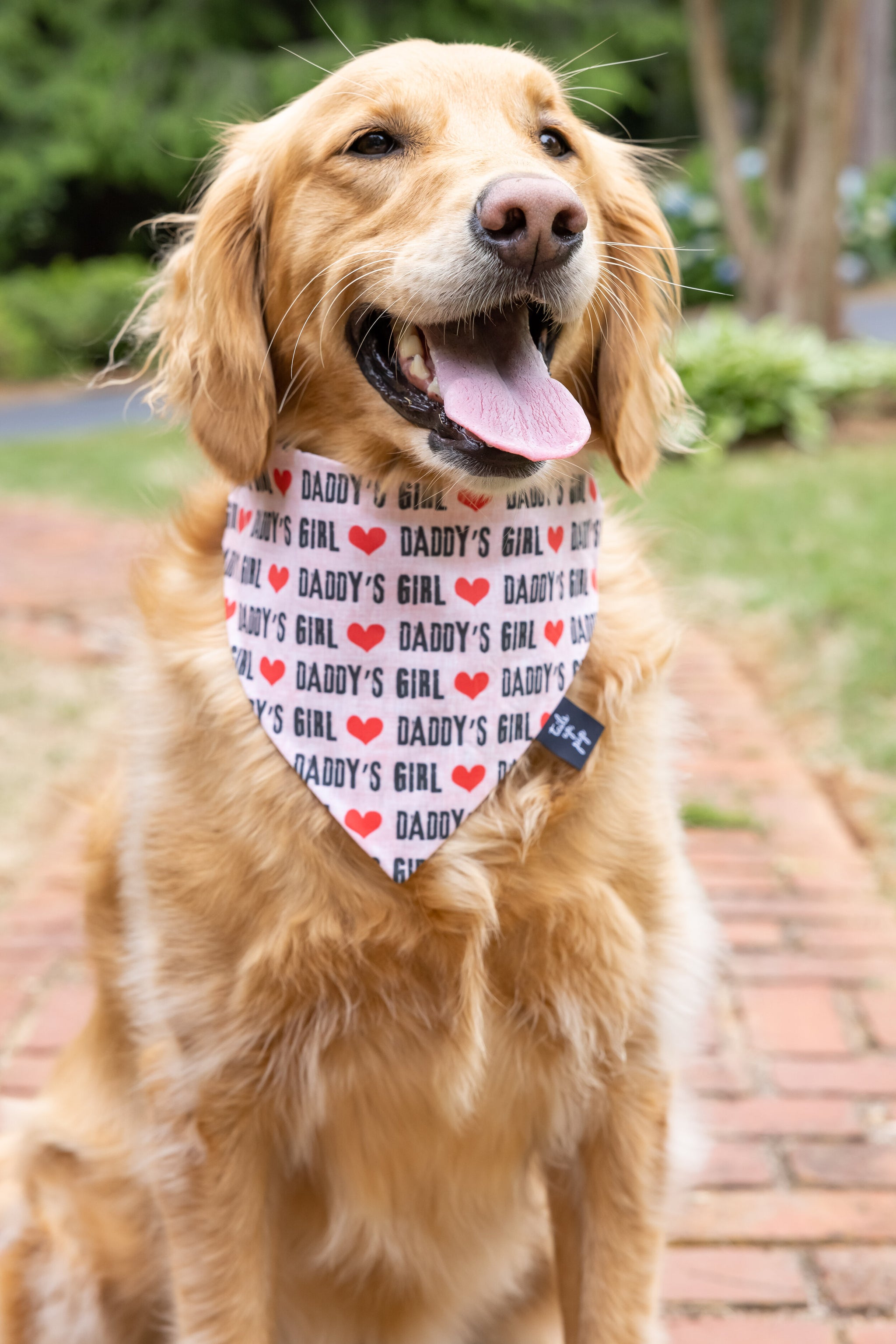Girly dog bandanas shop