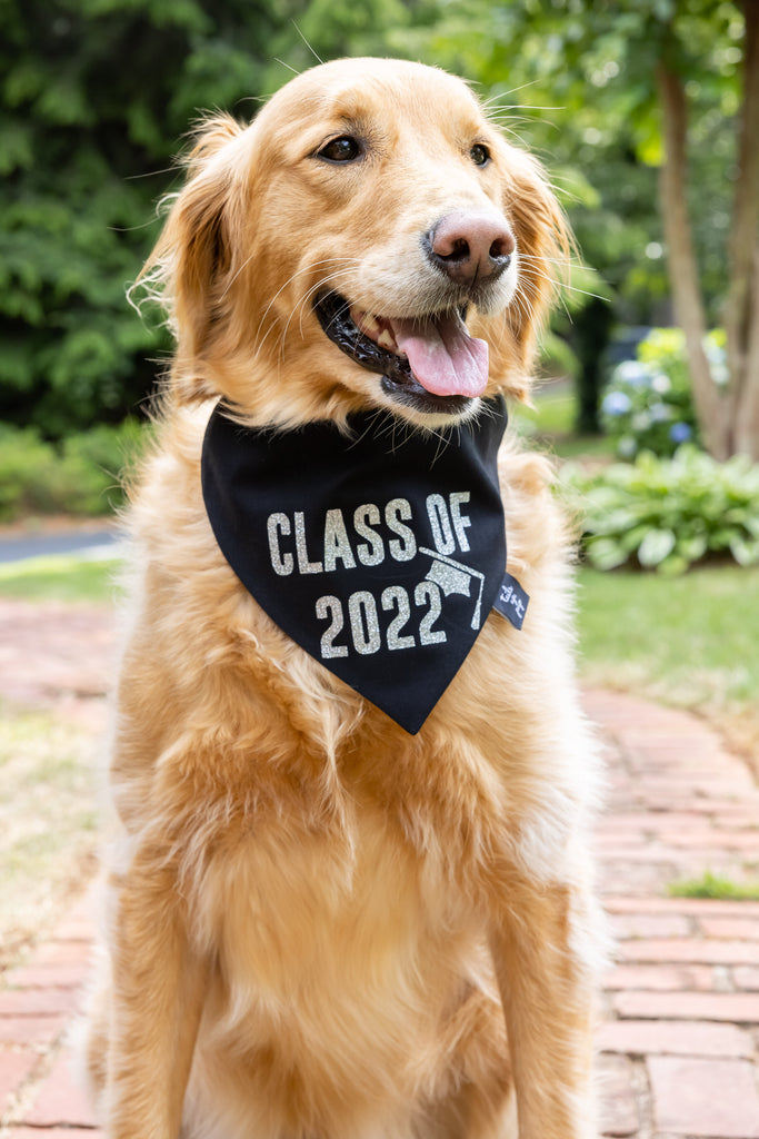 Graduation Class 2021 / 2022 Dog Bandana