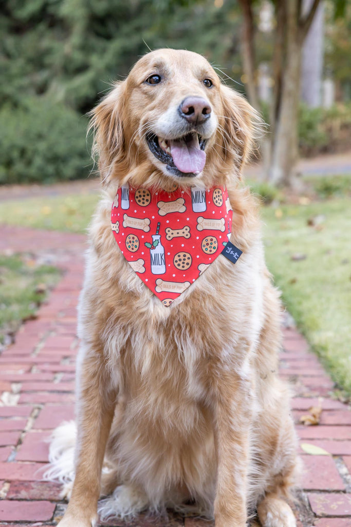 MLB Dog Bandanas - Dress Up Your Pup