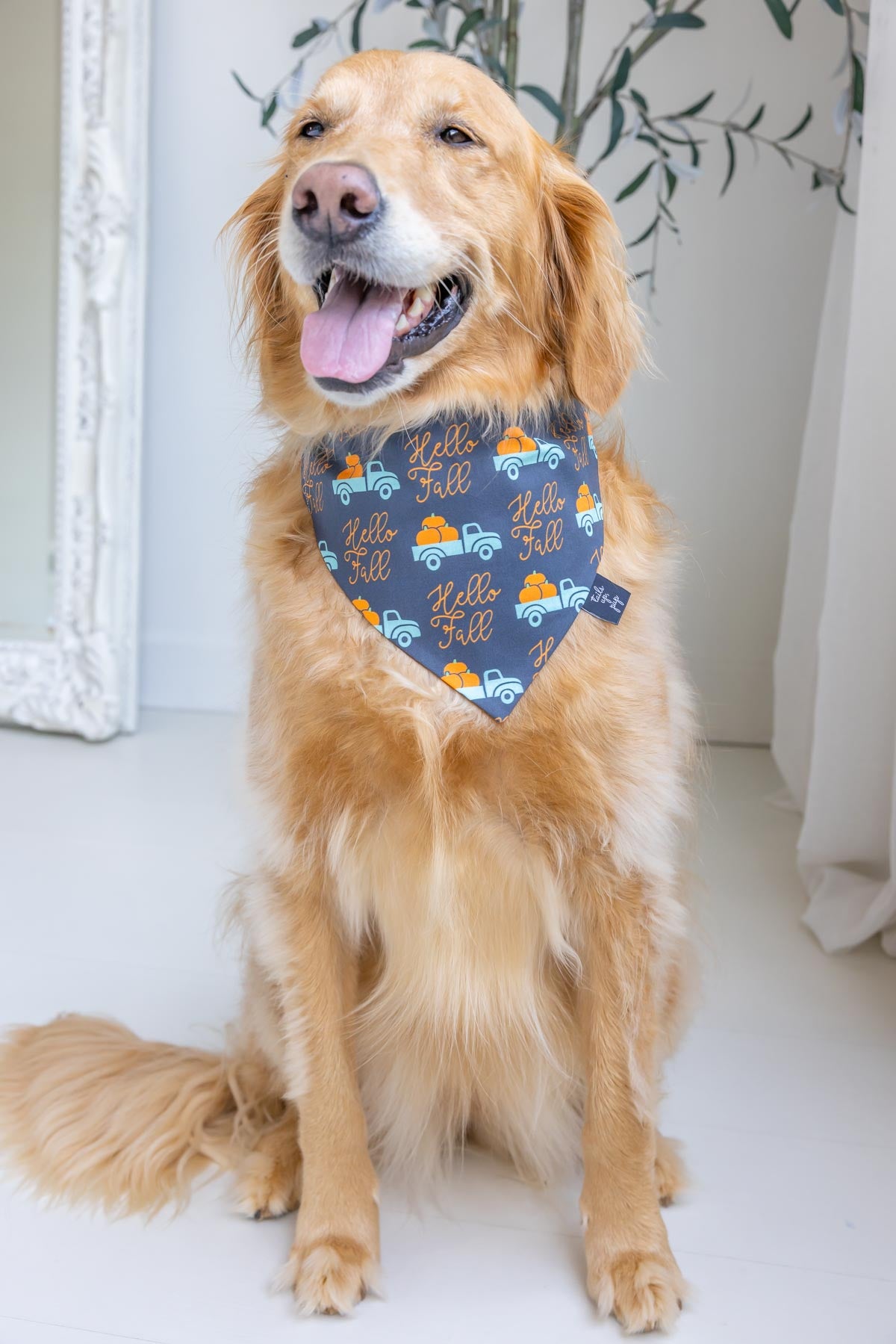 Dog Bandana - Hello!