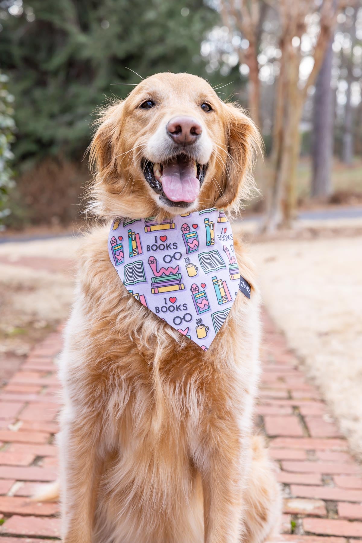 Book Worm Dog Bandana – Tails Up, Pup