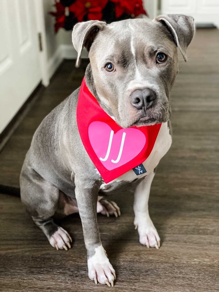 PERSONALIZED Red Heart Dog Bandana