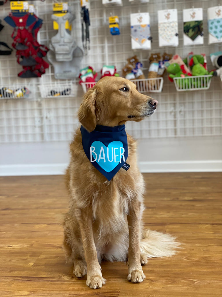 PERSONALIZED Blue Heart Dog Bandana