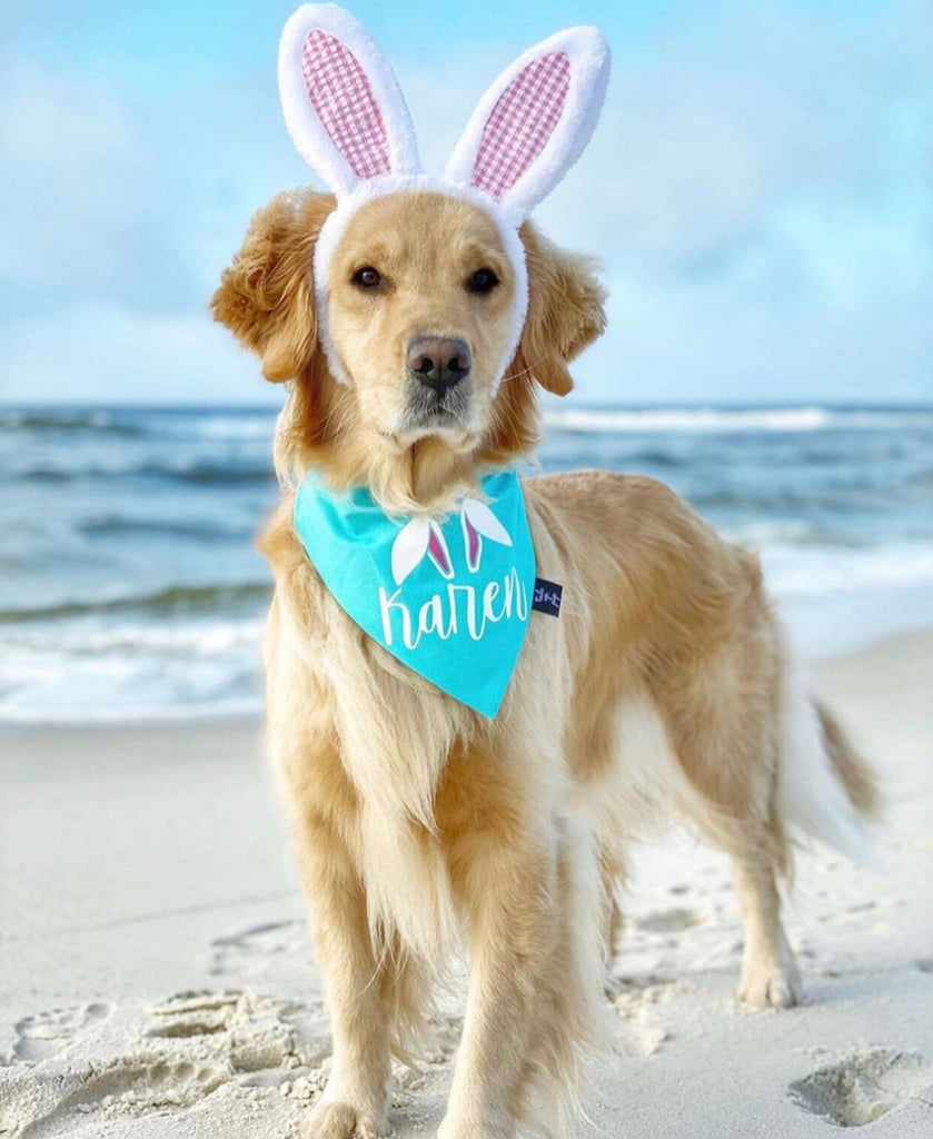 Blue Personalized Bunny Ears Dog Bandana