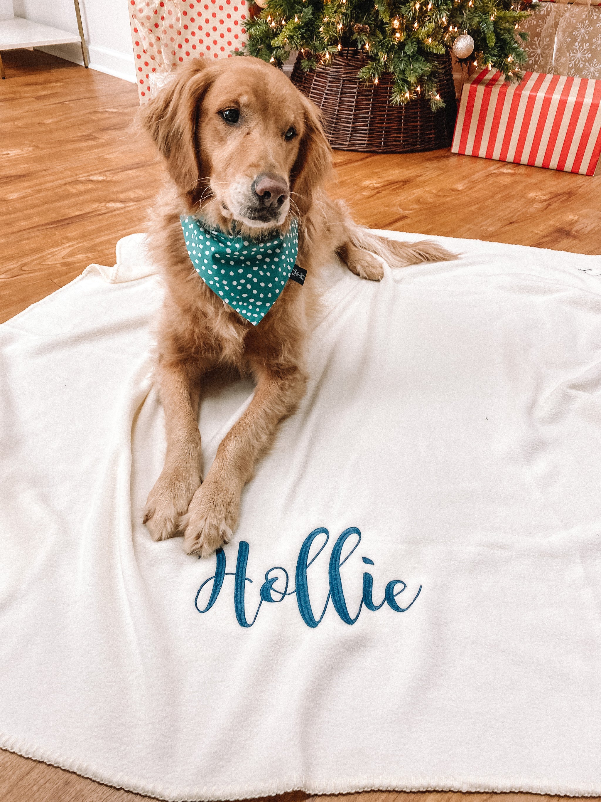 Personalized dog blanket with name sale